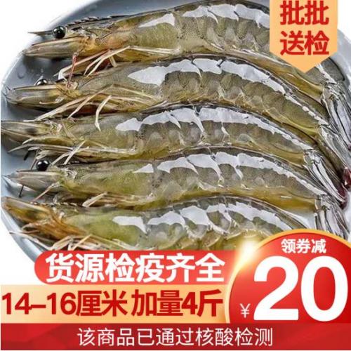 国产青岛大虾 4斤装 青虾鲜虾海虾基围虾冷冻冰虾生鲜 虾类 白虾 2000g