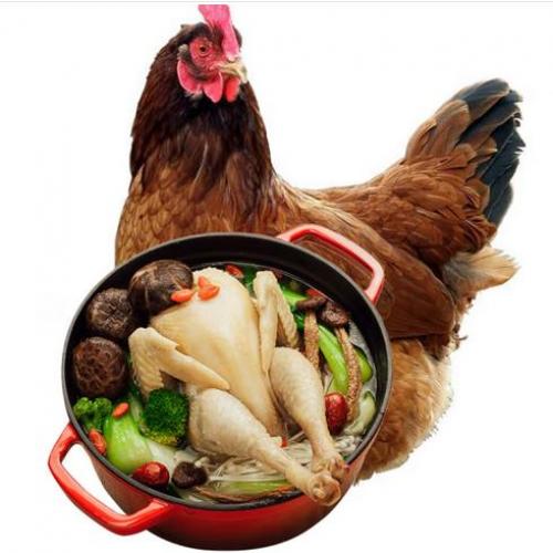 正大食品CP 老母鸡 1.4kg 鸡肉 鸡 冷冻整鸡 红烧卤制 滋补鸡汤